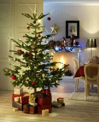 Weihnachtsbeleuchtung sollte nicht nur schön, sondern auch sicher sein. Prüfzeichen wie „GS” oder „VDE” bieten Verbrauchern Orientierung / Foto: licht.de
