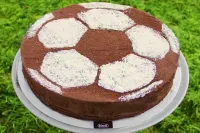 Die bindi Fussballtorte / Bildquelle: bindi Deutschland GmbH