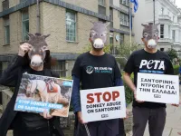 In London demonstrierten PETA-Aktive mit Eselmasken vor der griechischen Botschaft / Bilduqelle: © PETA UK