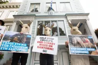  Auch in San Francisco demonstrierten PETA-Aktive vor dem griechischen Konsulat. / Bildquelle: © PETA USA 
