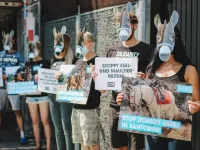 In Stuttgart positionierten sich Aktive mit Eselmasken vor dem griechischen Konsulat, um gegen die Ausbeutung der Tiere auf Santorini zu demonstrieren. / Bildquelle: © PETA Deutschland e.V.
